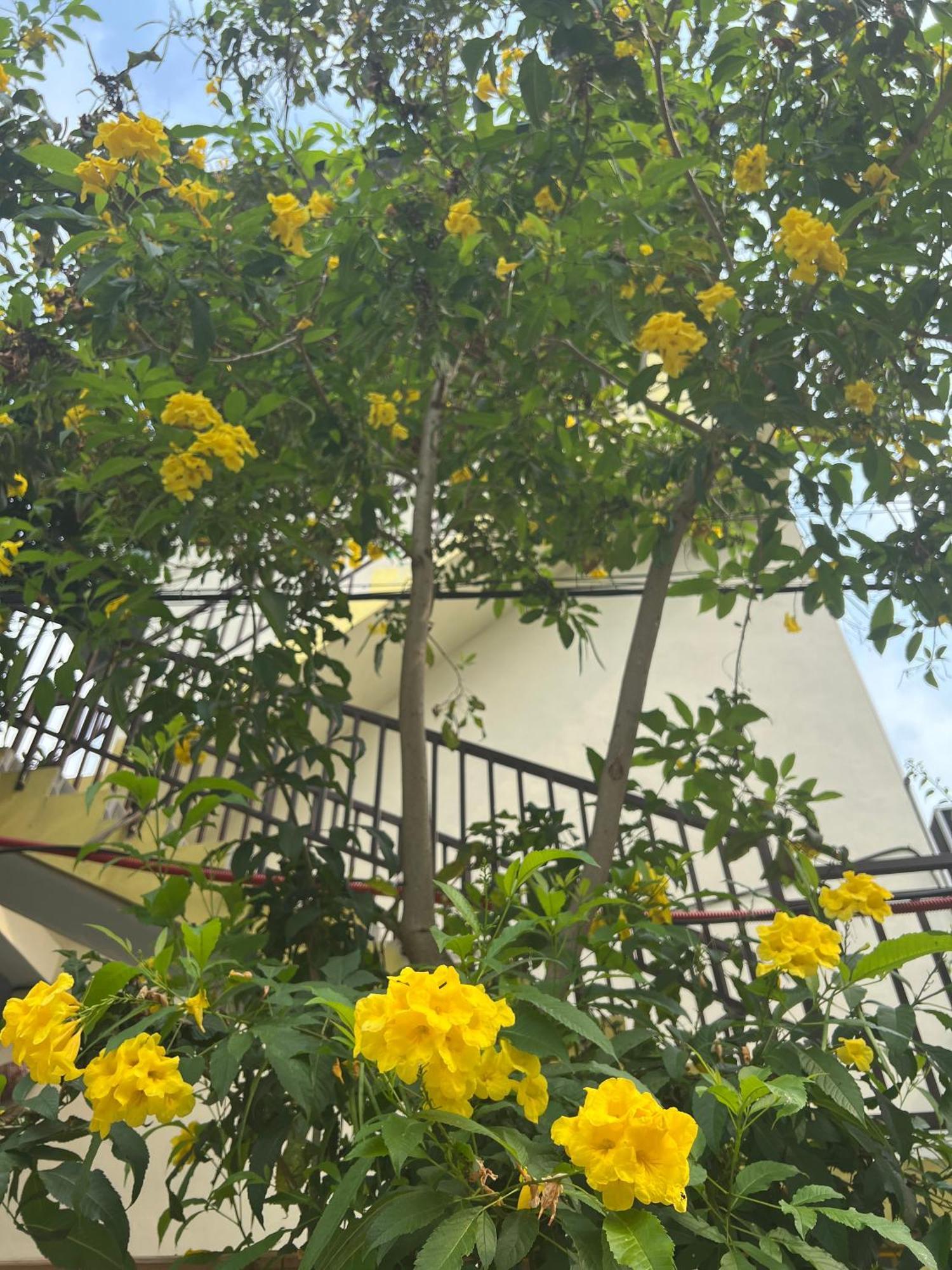 Hakuna Matata Homestay Mai Châu Esterno foto